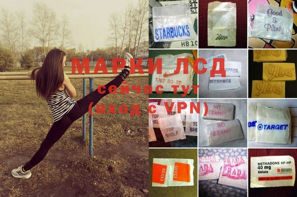 дмт Богородицк