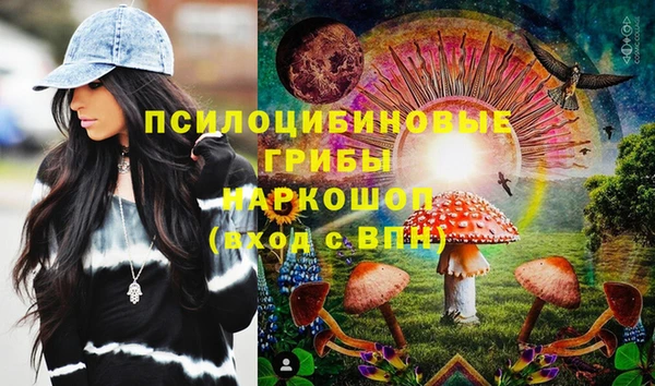 крисы Богданович