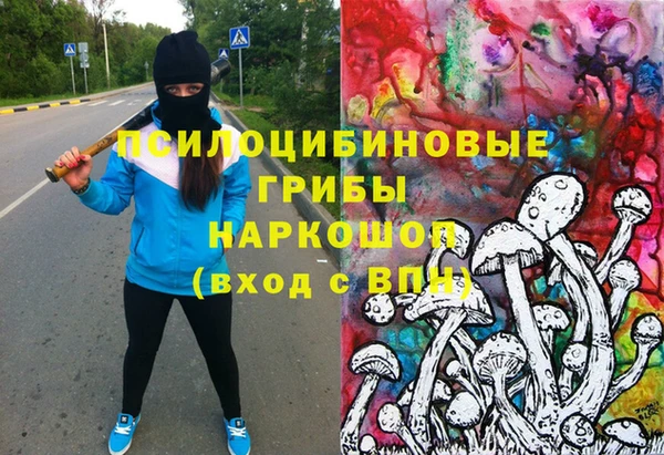 крисы Богданович