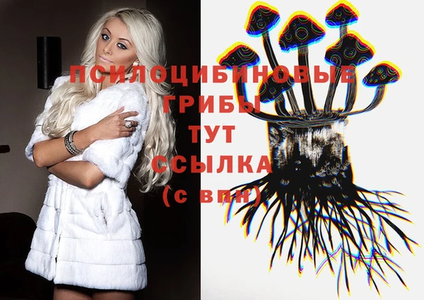 крисы Богданович